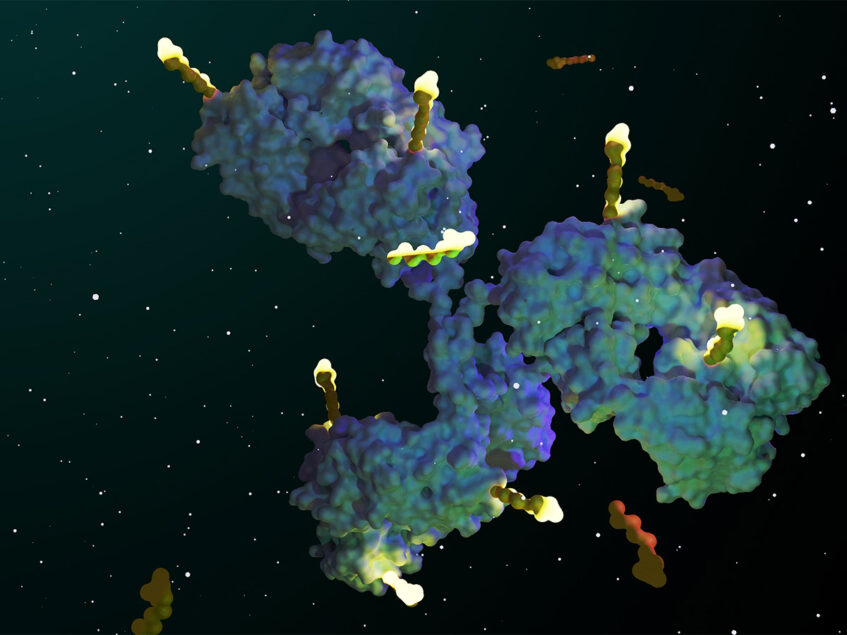 InnoCare Gets Green Light for Clinical Trial of New Cancer Drug ICP-B794 in China