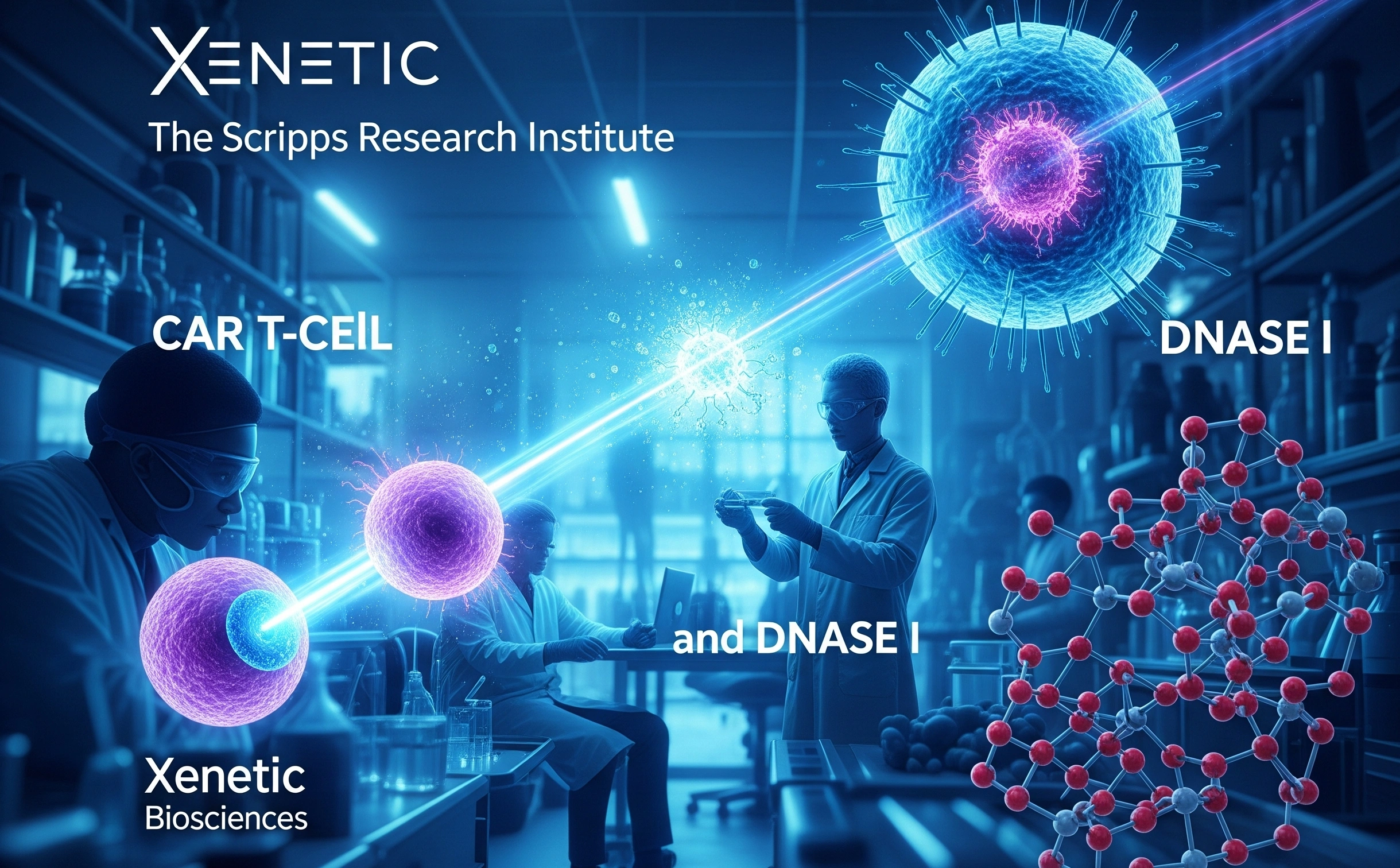 Xenetic Biosciences Expands CAR T-Cell Therapy R&D Partnership with Scripps Research