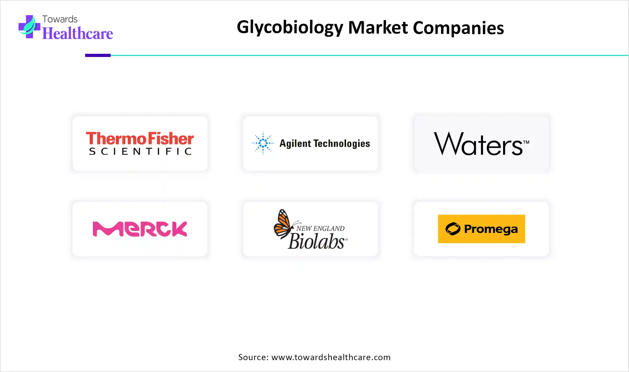 Glycobiology Market Companies
