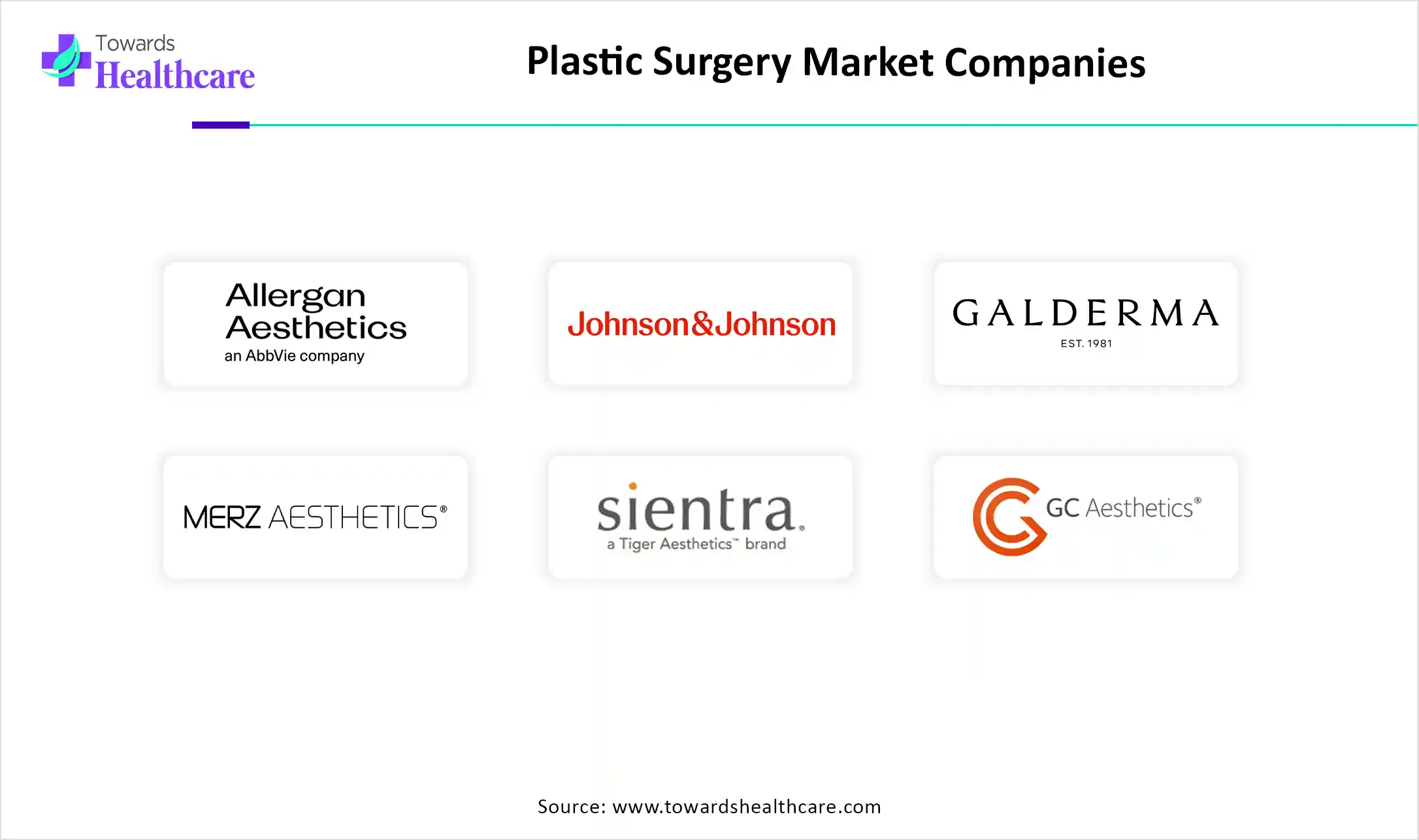Plastic Surgery Market Companies