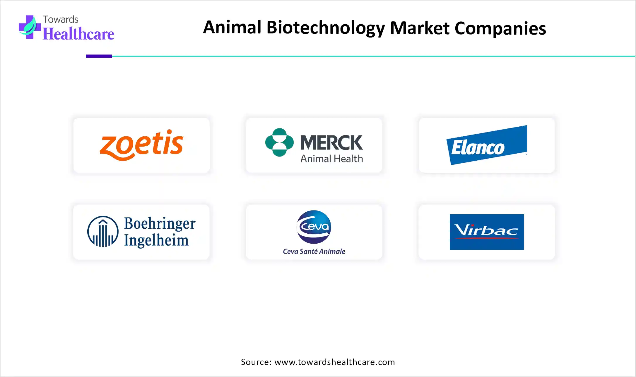 Animal Biotechnology Market Companies