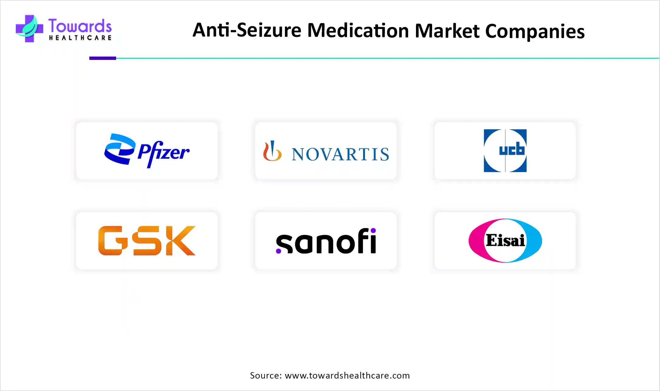 Anti-Seizure Medication Market Companies