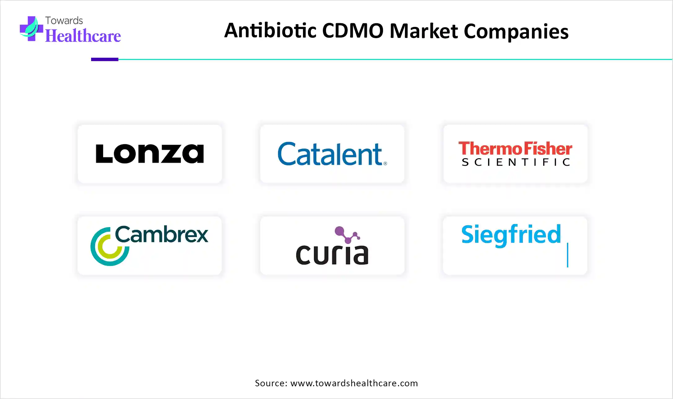Antibiotic CDMO Market Companies