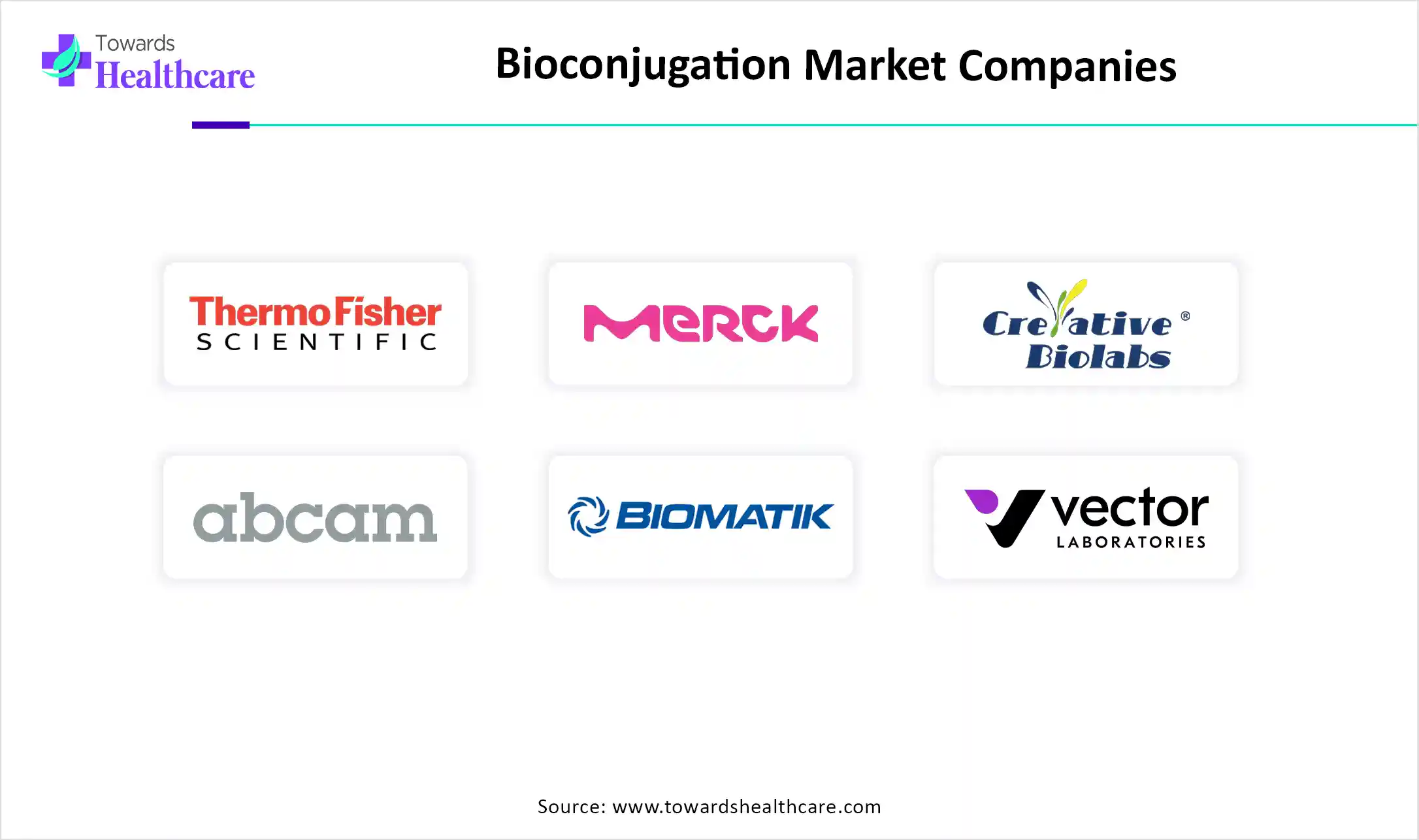 Bioconjugation Market Companies