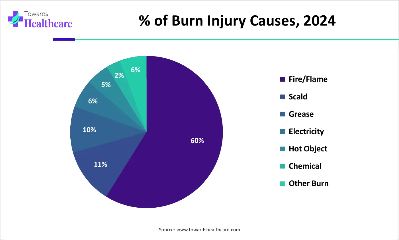 % of Burn Injury Causes, 2024