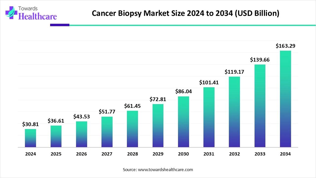 Cancer Biopsy Market Size 2024 to 2034
