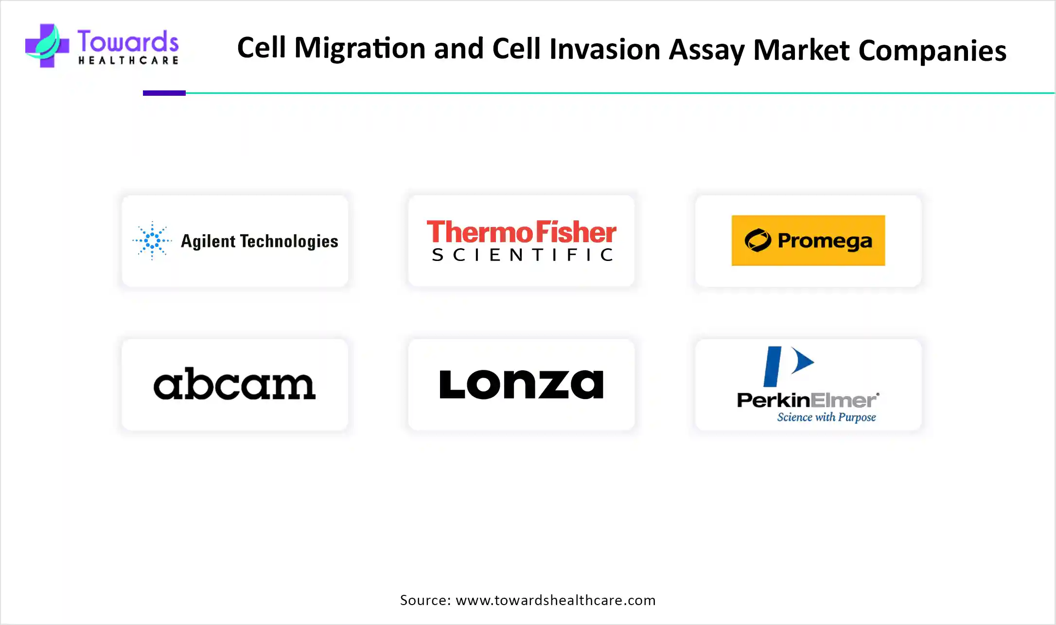 Cell Migration and Cell Invasion Assay Market Companies