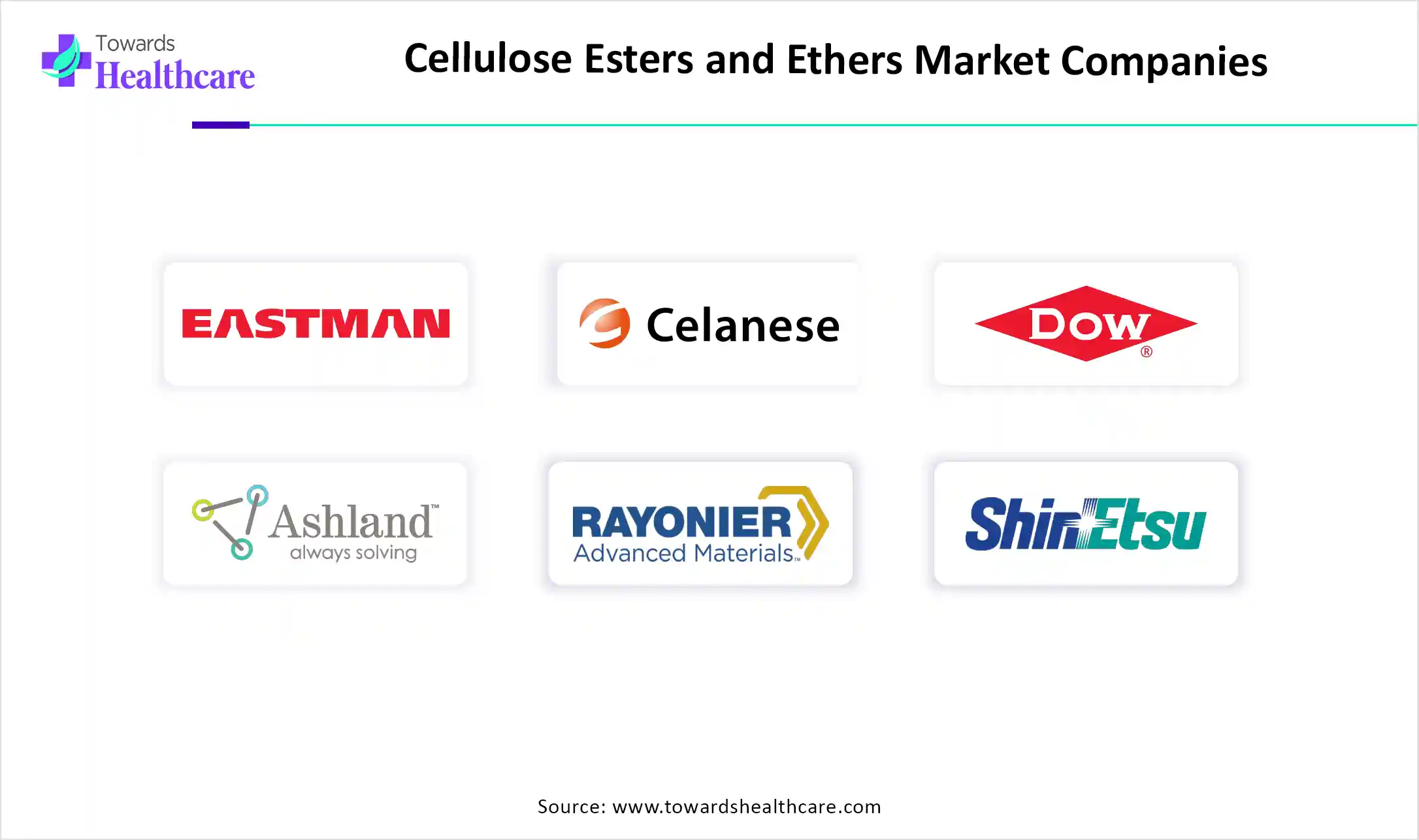 Cellulose Esters and Ethers Market Key Players
