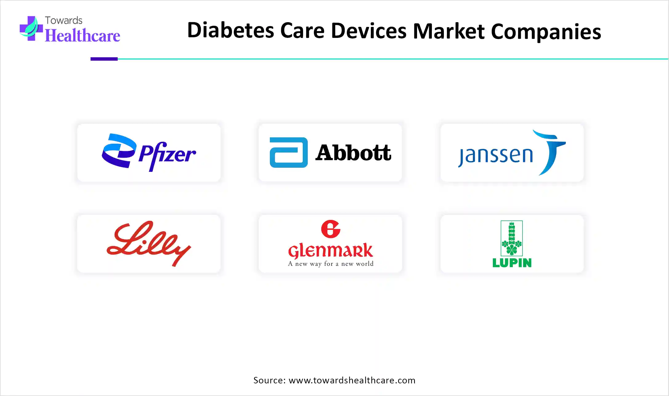 Diabetes Care Devices Market Companies