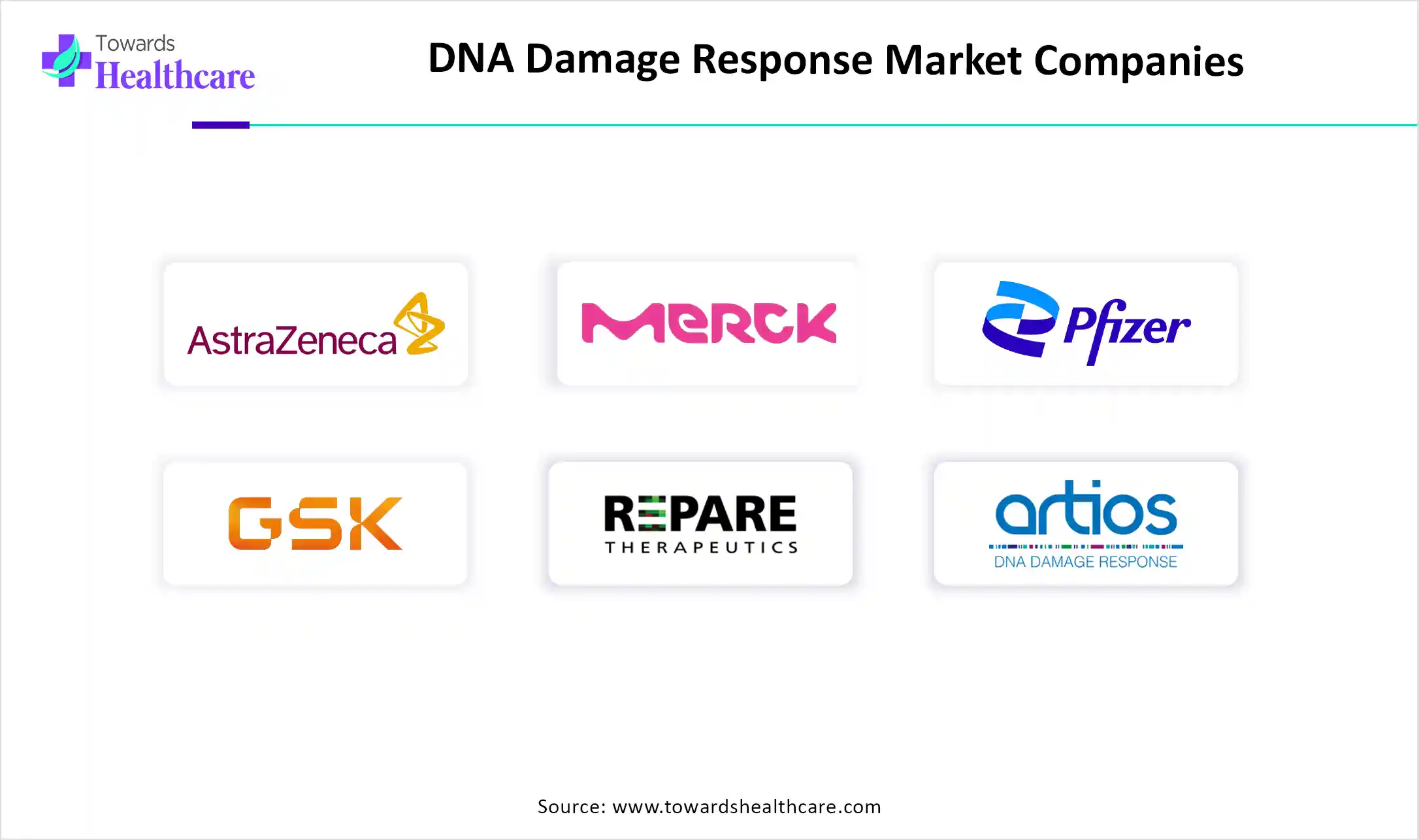 DNA Damage Response Market Companies DNA Damage Response Market Key Players
