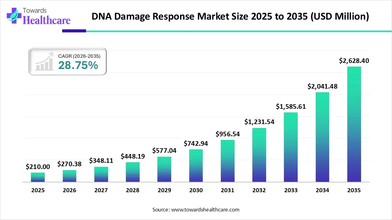 DNA Damage Response Market Size 2025 to 2035 DNA Damage Response Market Trends and Growth (2026)