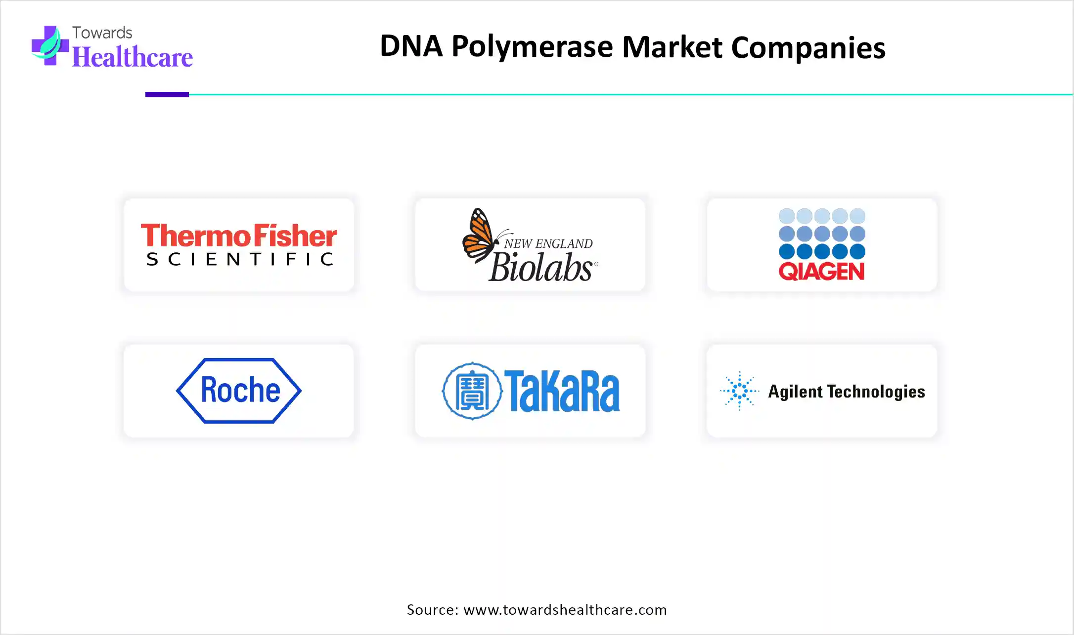 DNA Polymerase Market Companies