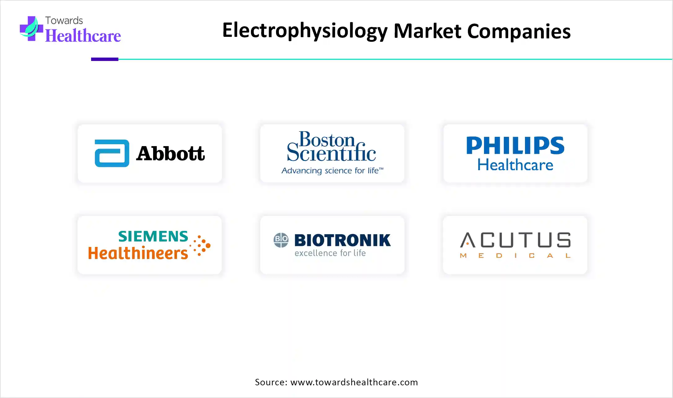 Electrophysiology Market Companies
