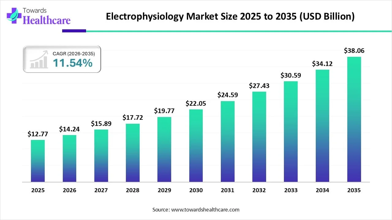 Electrophysiology Market Trends and Growth (2026)