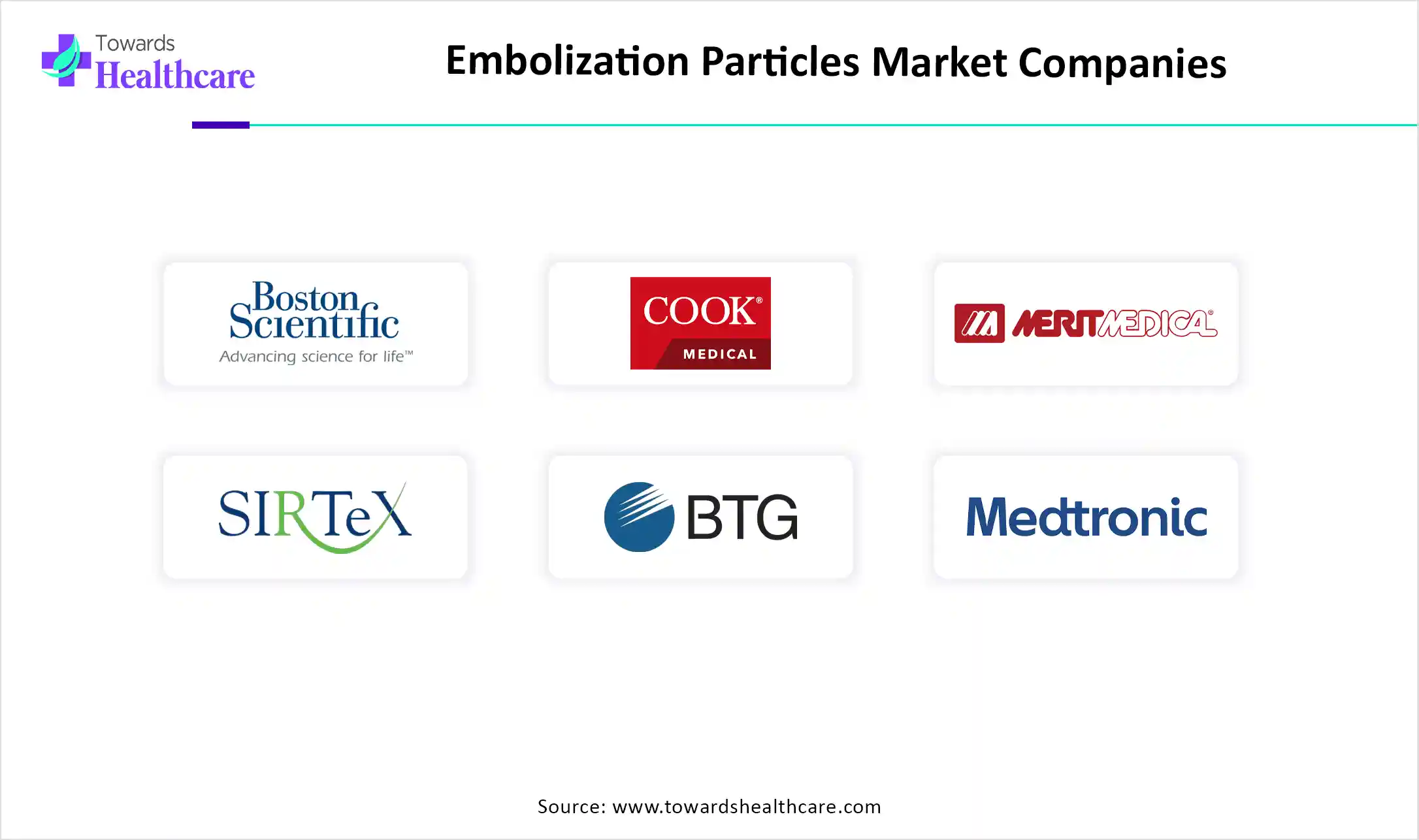 Embolization Particles Market Companies