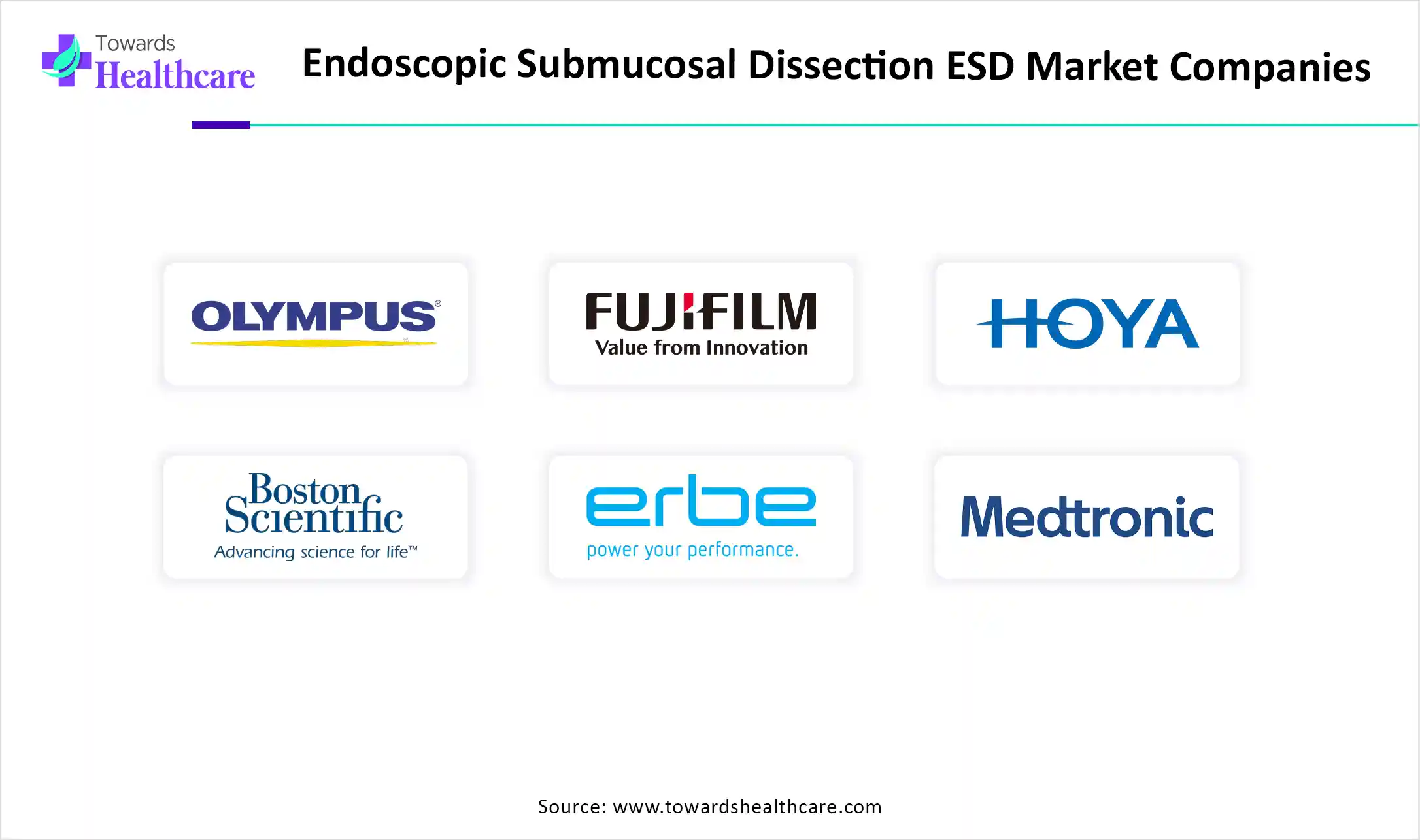 Endoscopic Submucosal Dissection ESD Market Companies