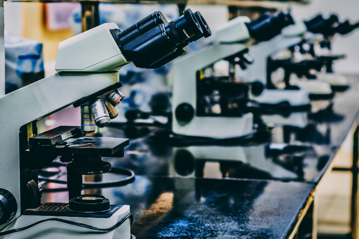 Enterome Secures $19 Million to Advance Immunotherapy for Non-Hodgkin Lymphoma