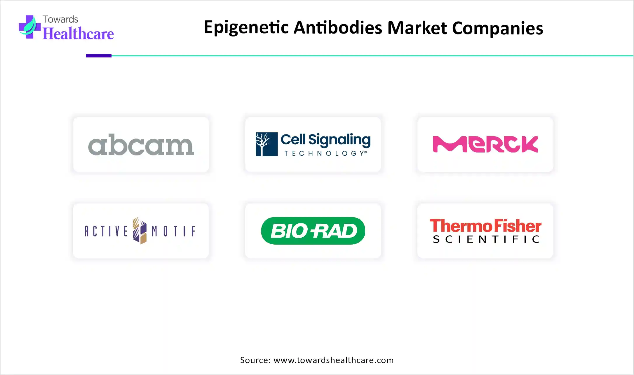 Epigenetic Antibodies Market Companies