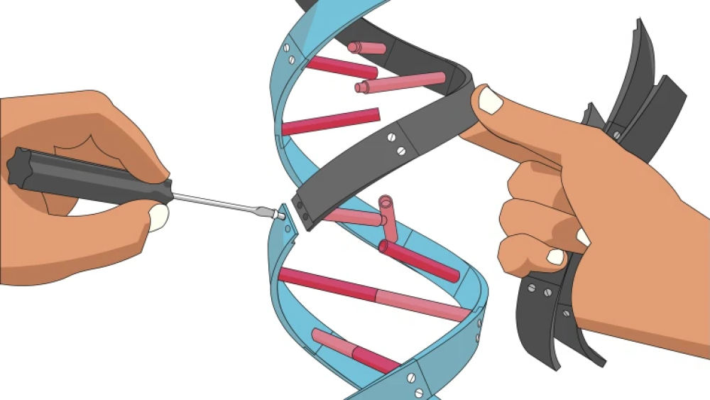 FDA Pledges Support to Speed Up Gene Therapy Approvals Amid Industry Challenges