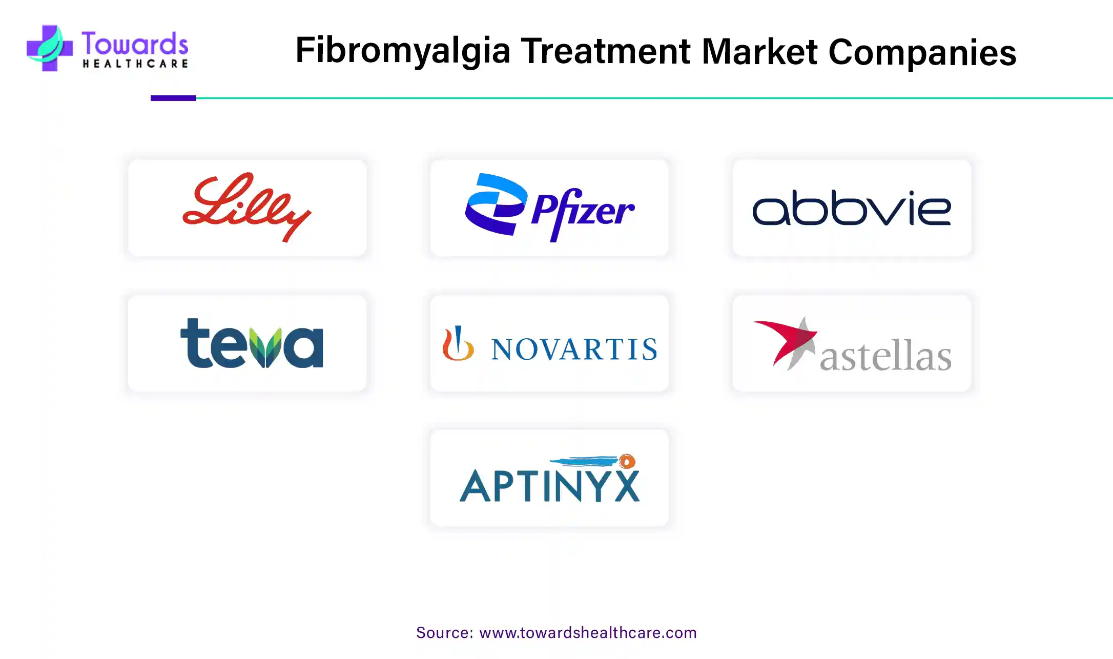 Fibromyalgia Treatment Market Companies