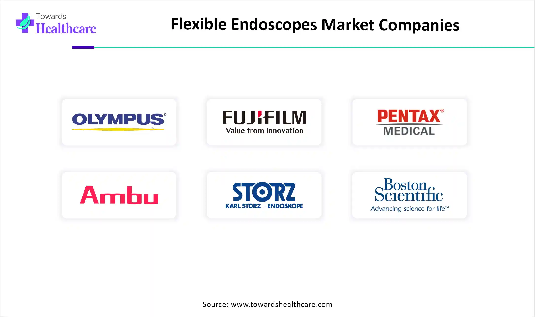 Flexible Endoscopes Market Companies