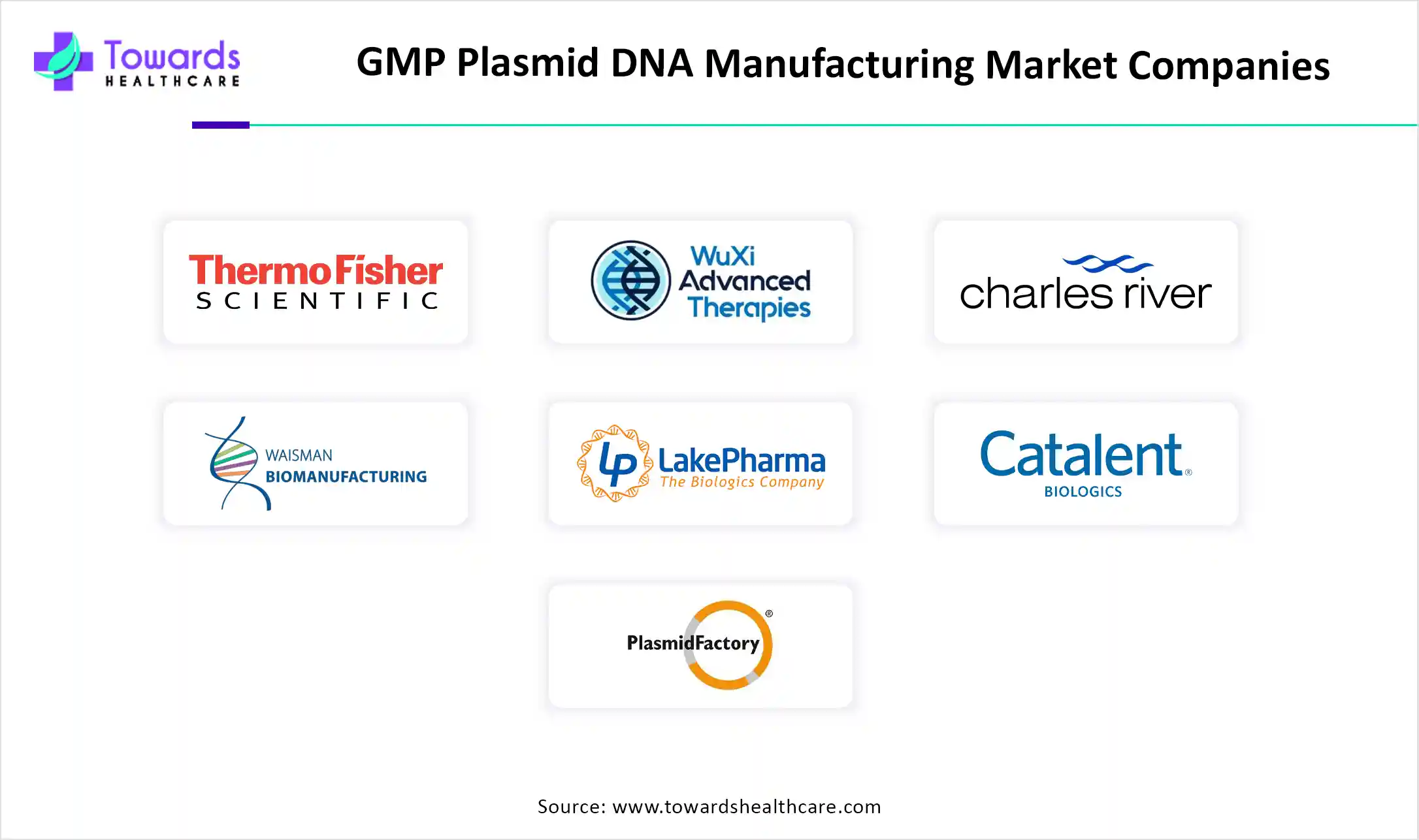 GMP Plasmid DNA Manufacturing Market Companies