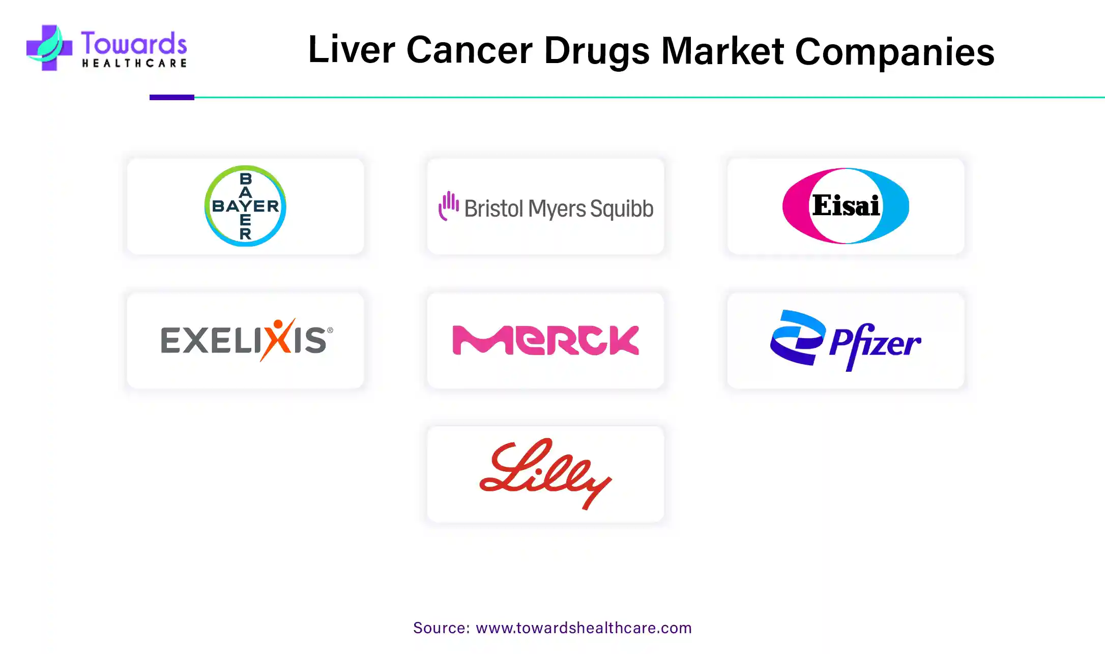 Liver Cancer Drugs Market Companies