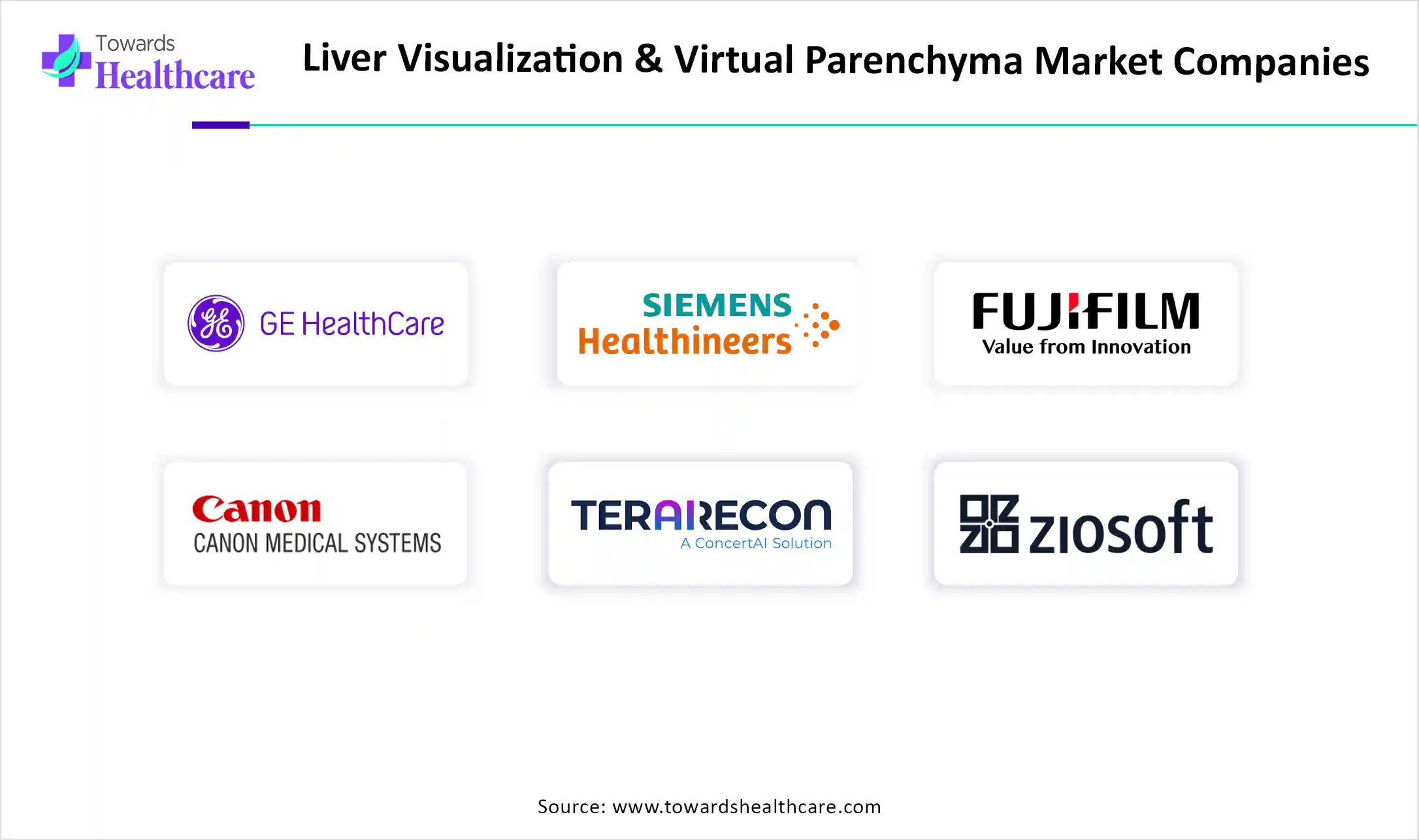 Liver Visualization & Virtual Parenchyma Market Key Players