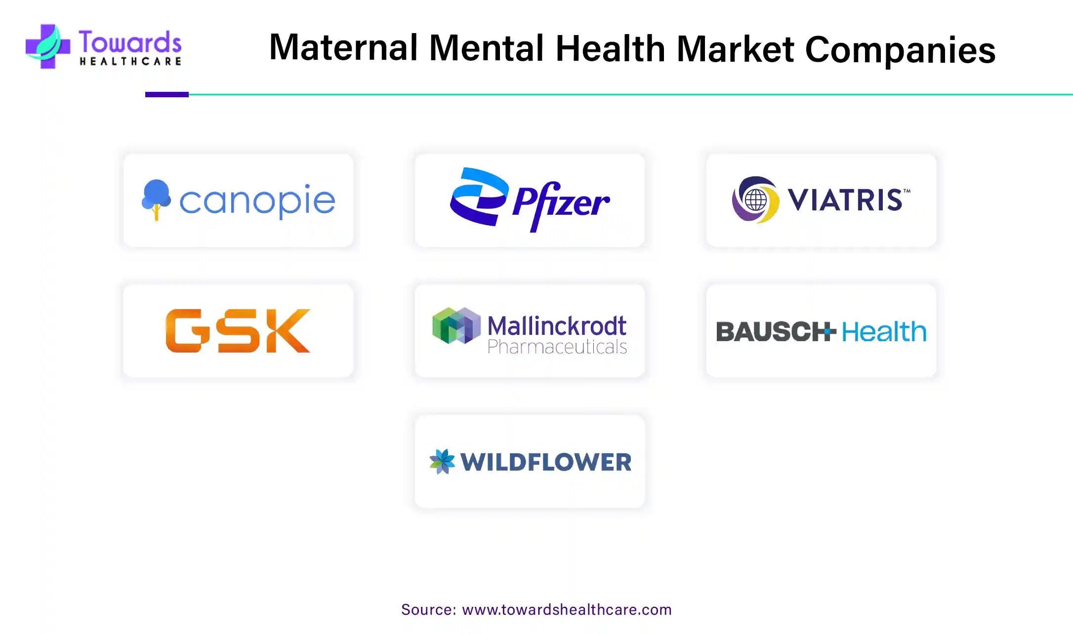 Maternal Mental Health Market Companies
