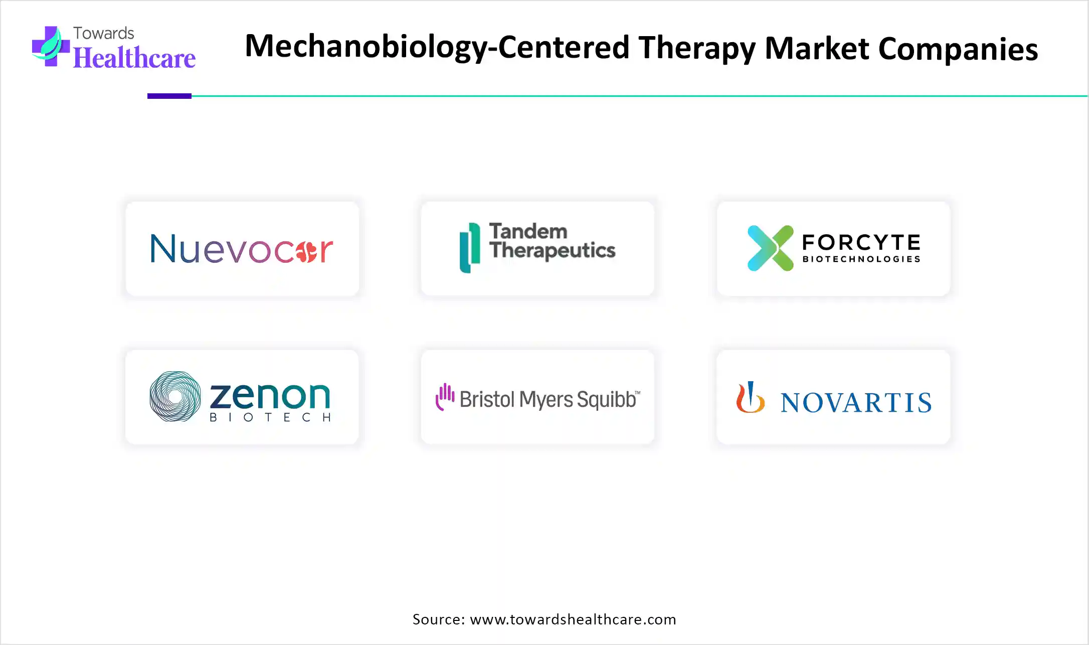 Mechanobiology-Centered Therapy Market Companies