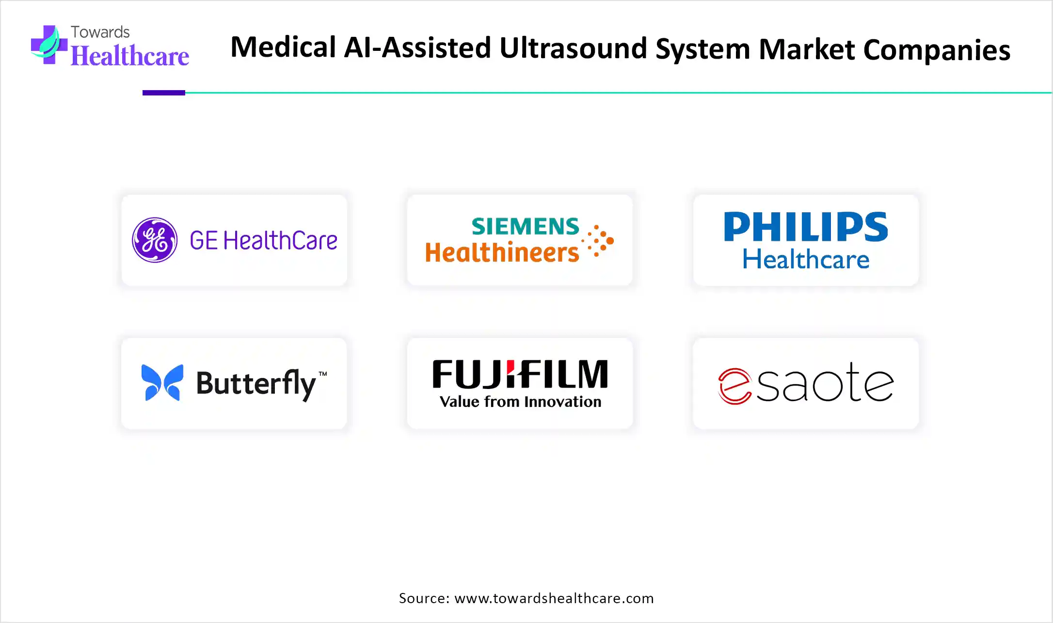 Medical AI-Assisted Ultrasound System Market Companies