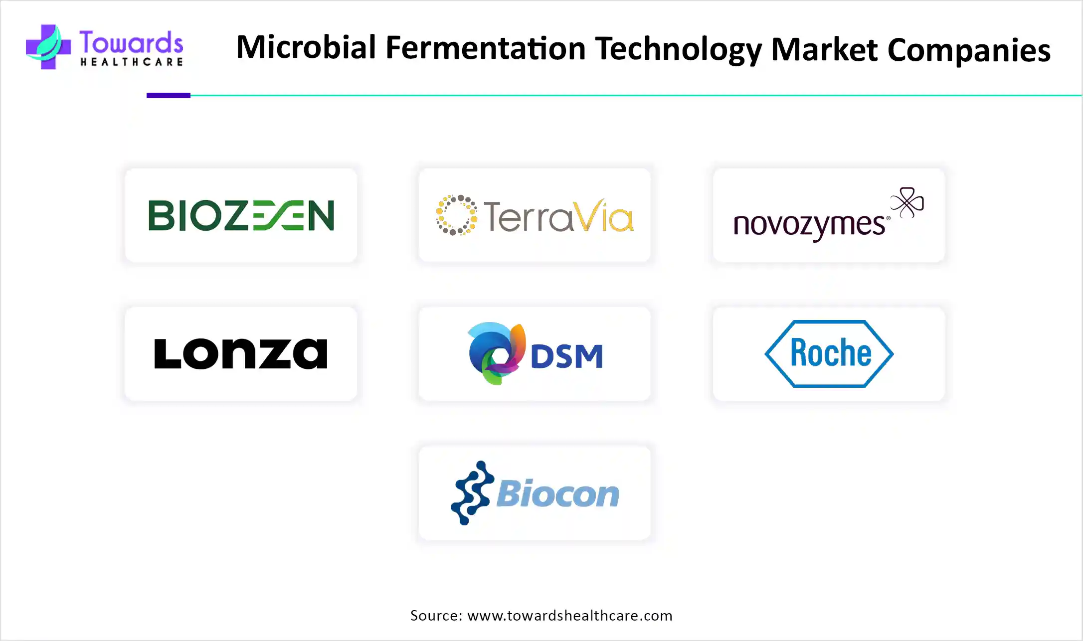Microbial Fermentation Technology Market Companies