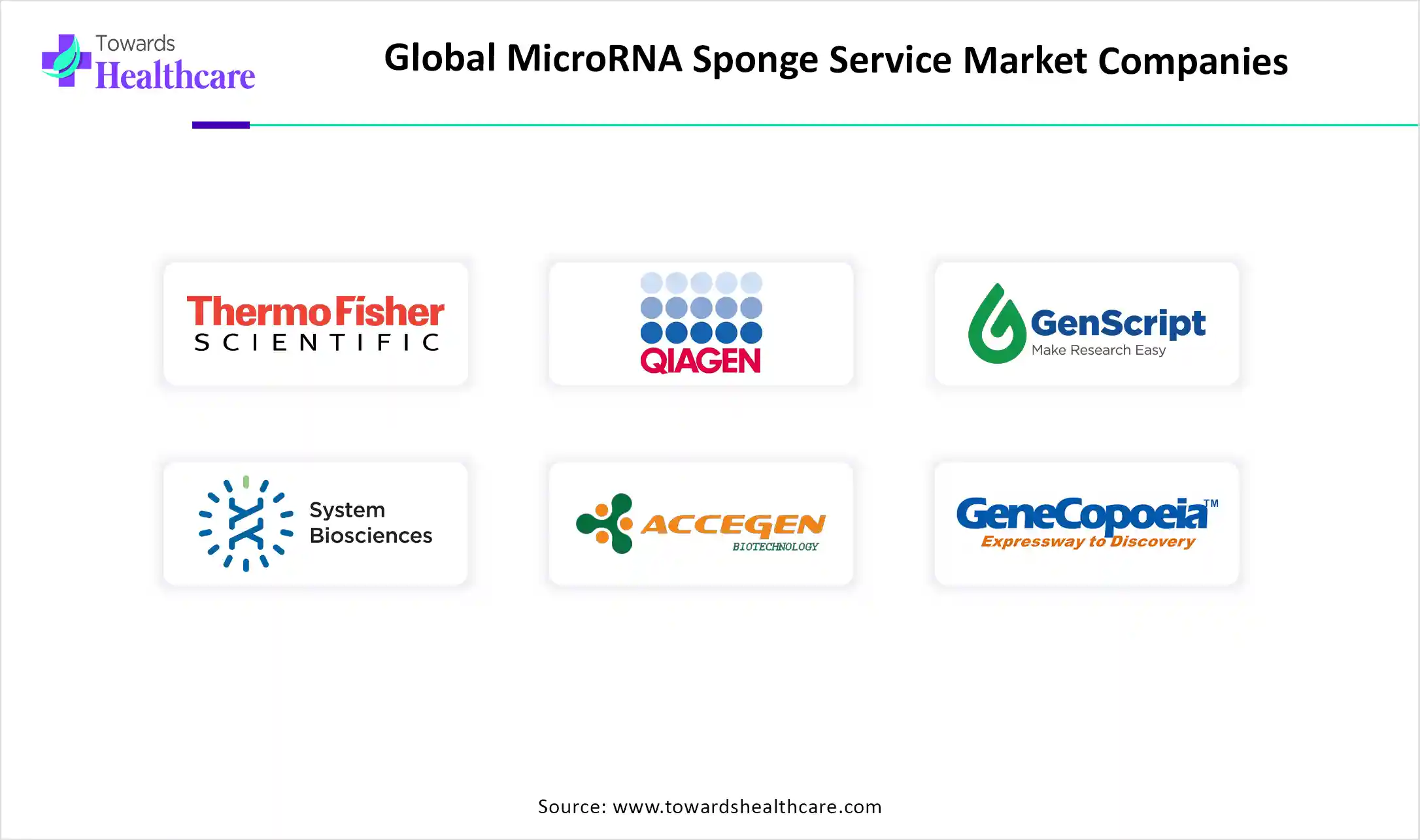 Global MicroRNA Sponge Service Market Companies Global MicroRNA Sponge Service Market Key Players