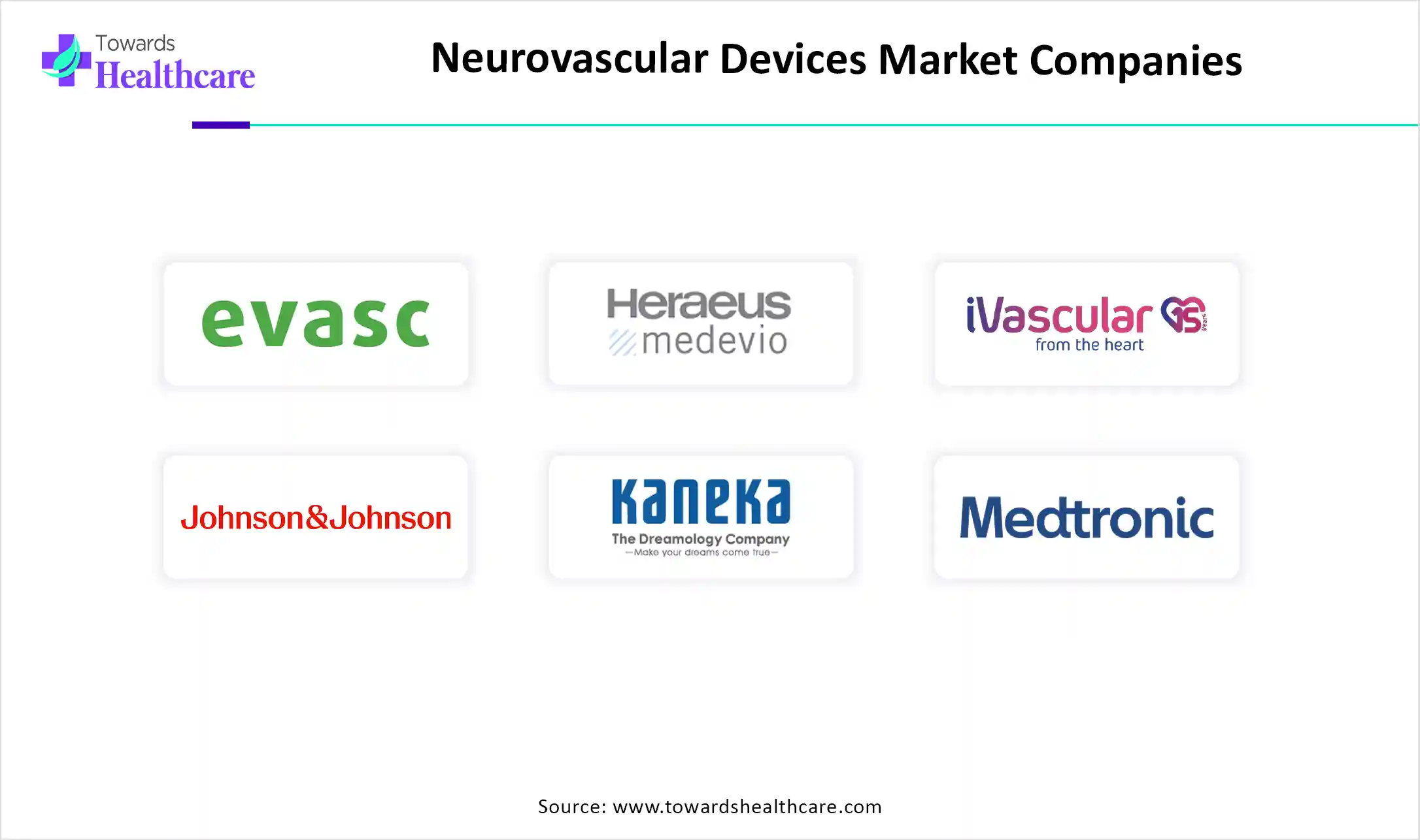Neurovascular Devices Market Companies