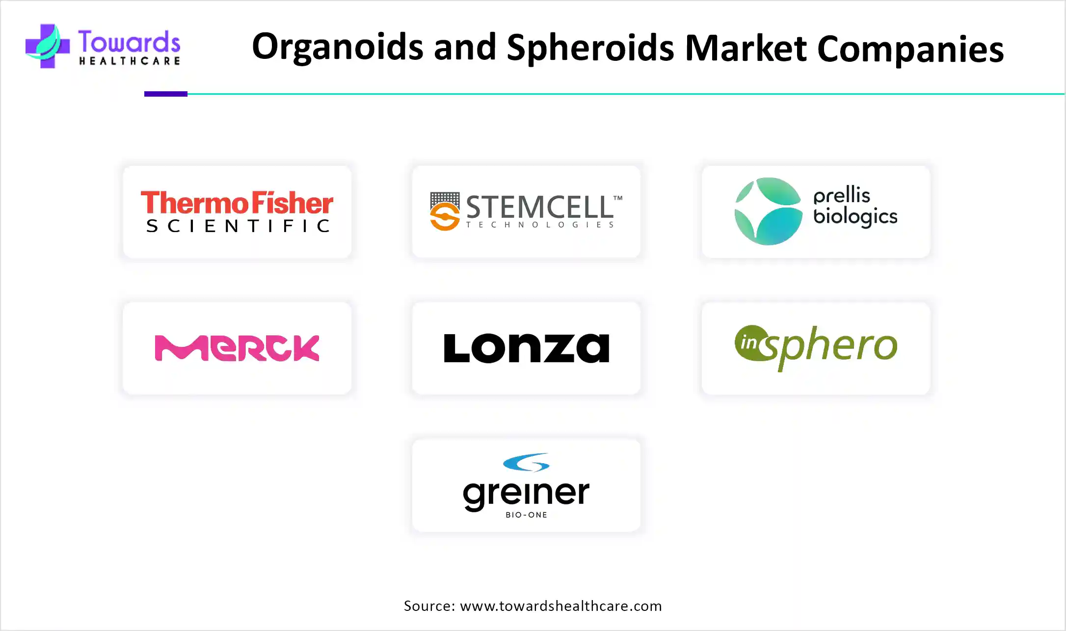 Organoids and Spheroids Market Companies