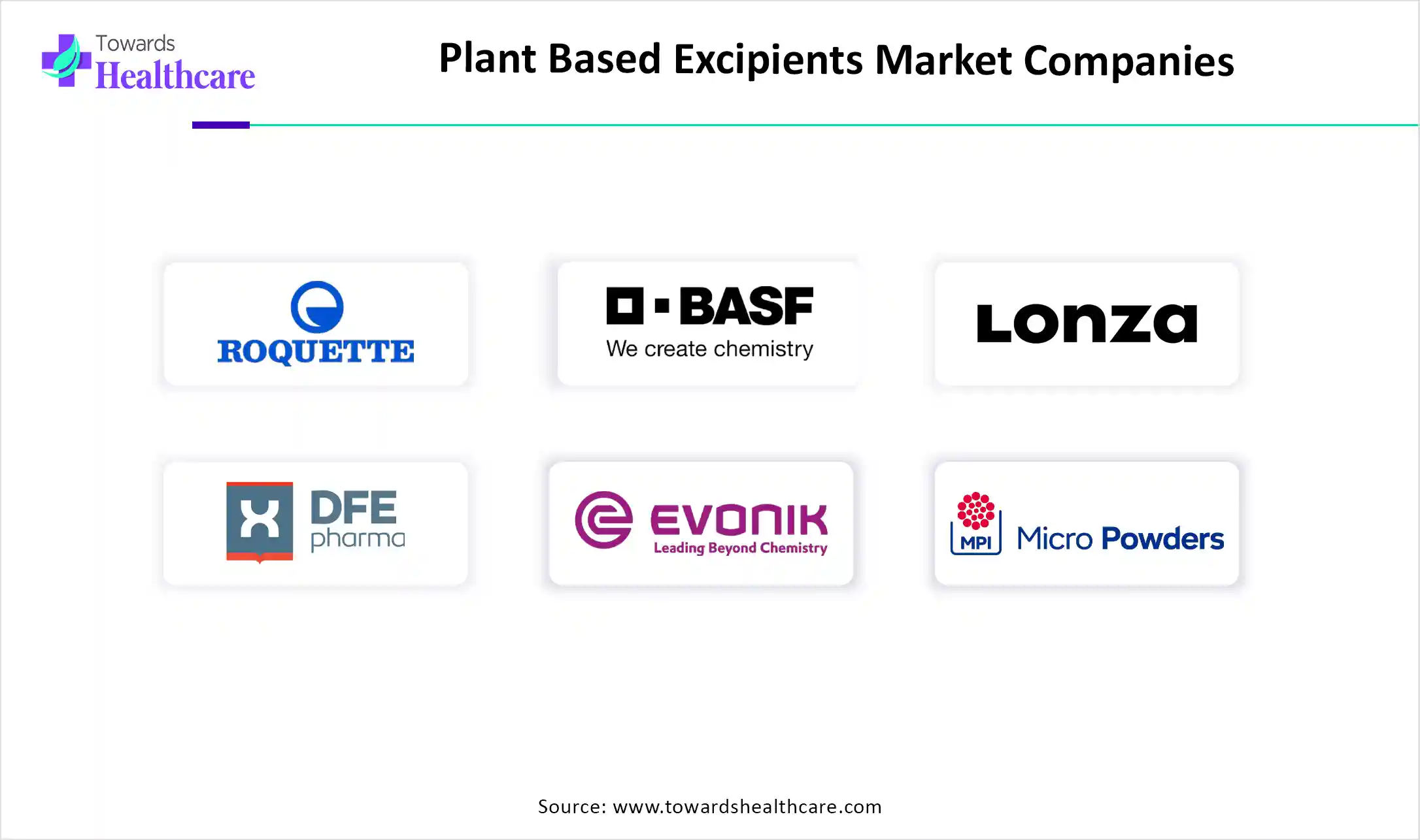 Plant Based Excipients Market Companies Plant Based Excipients Market Key Players