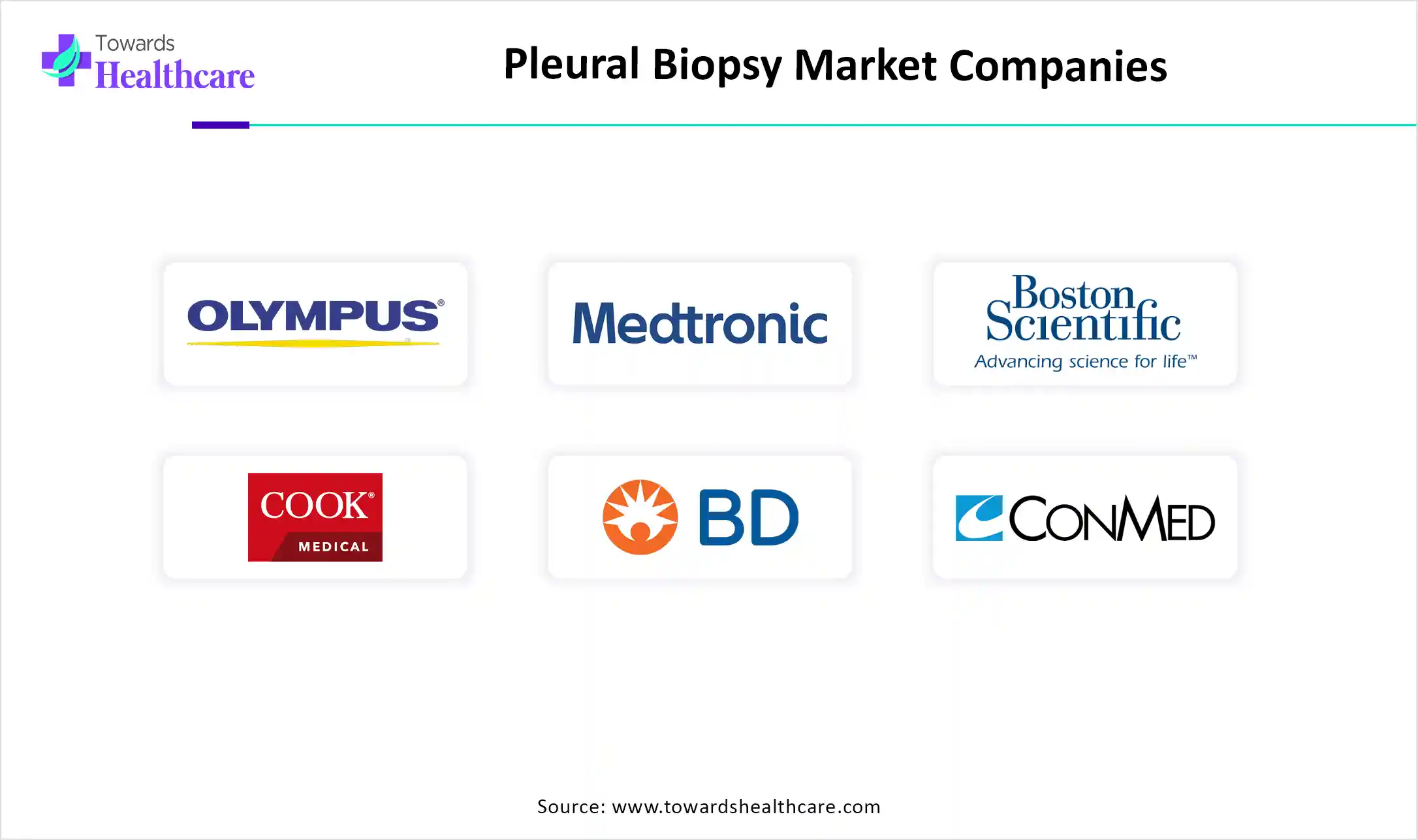 Pleural Biopsy Market Companies