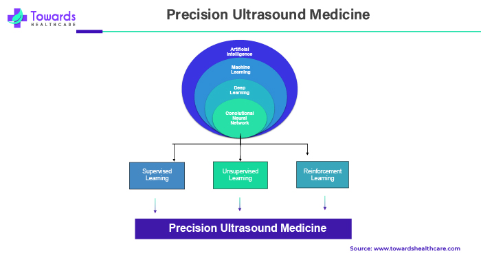Precision Ultrasound Medicine