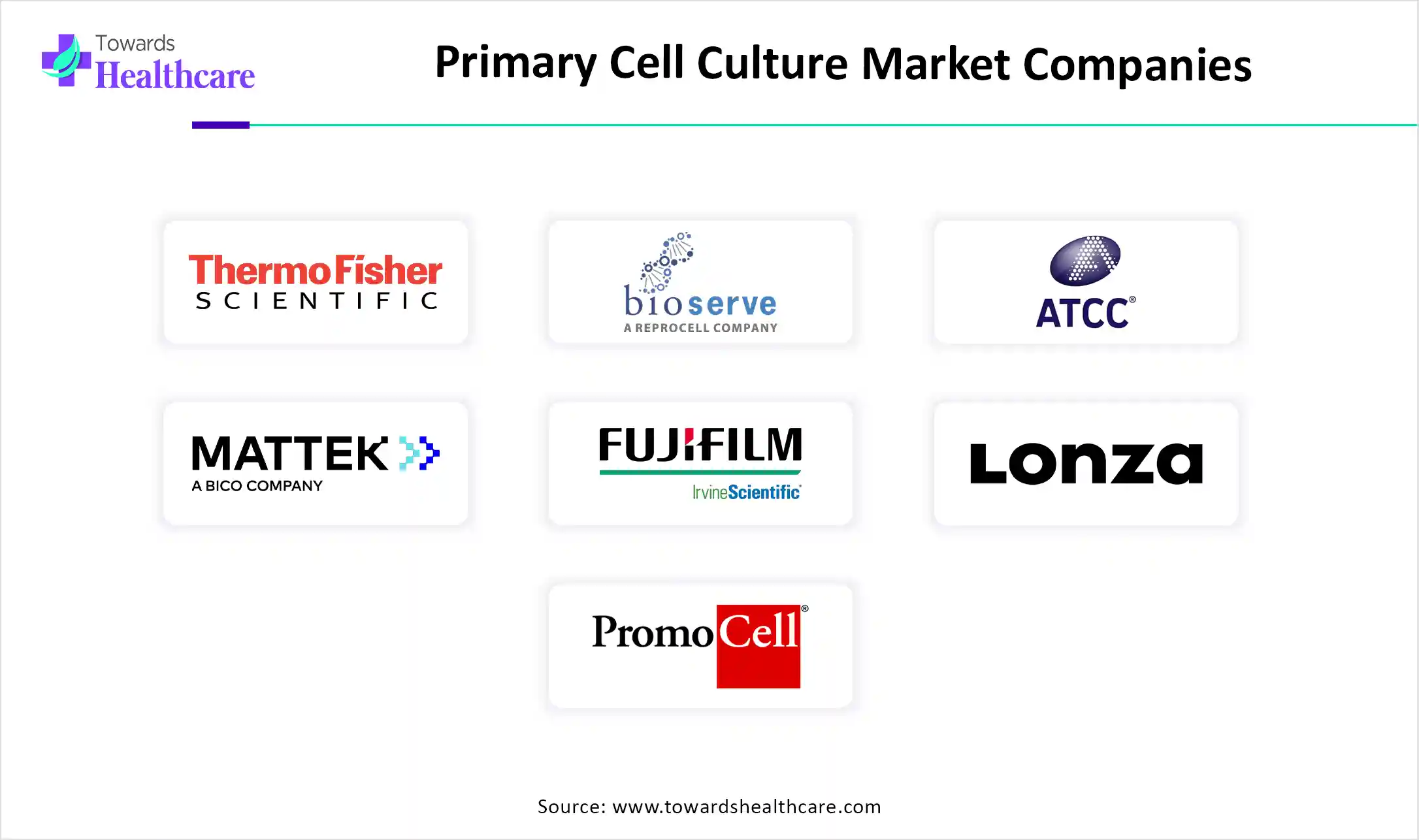 Primary Cell Culture Market Companies