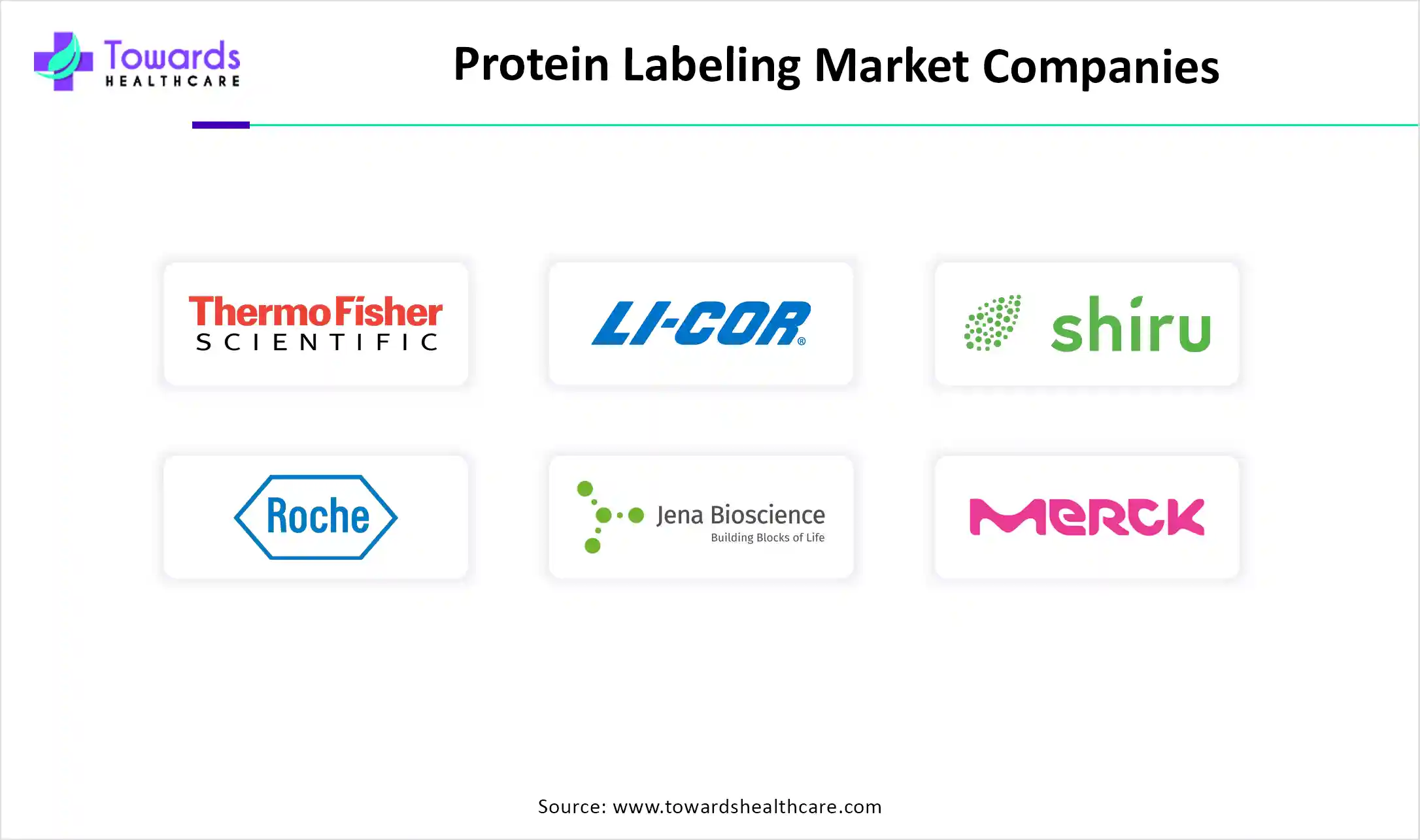 Protein Labeling Market Companies