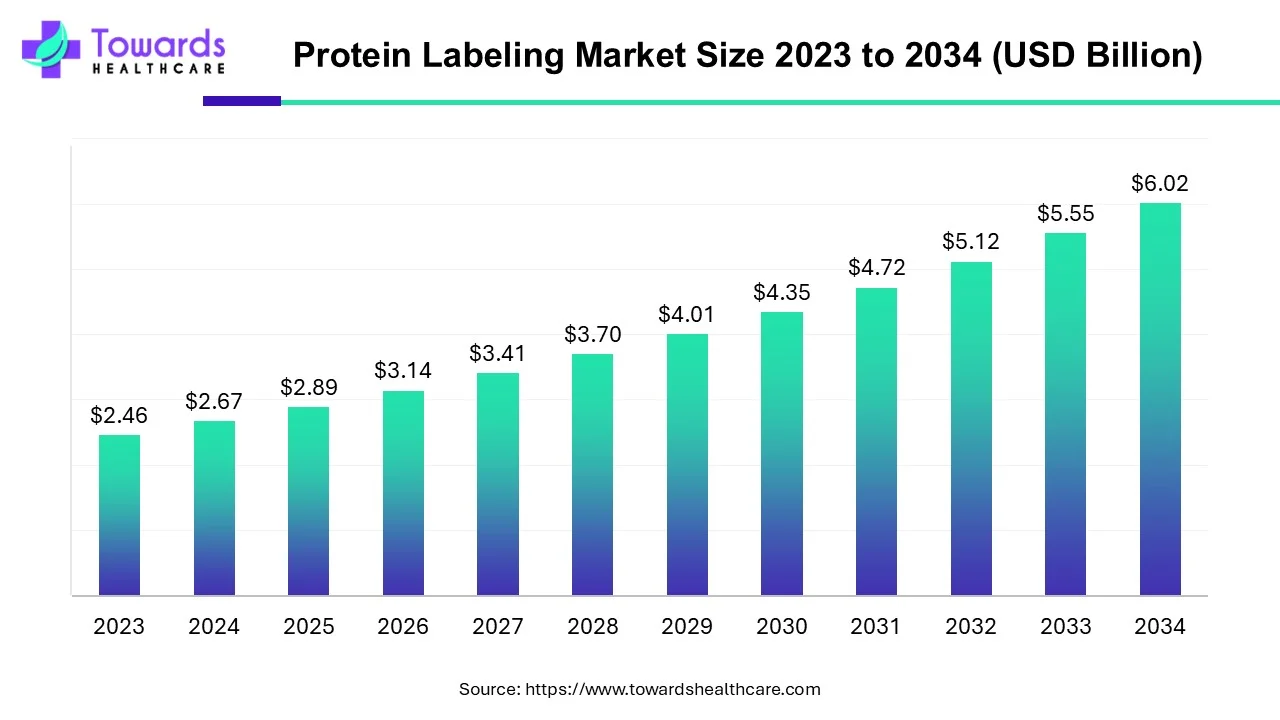 Protein Labeling Market Size 2023 - 2034