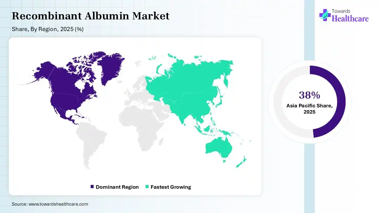 Recombinant Albumin Market Share, By Region, 2025 (%) Recombinant Albumin Market Shares for North America, Europe, Asia Pacific, Latin America and Middle East and Africa, 2025 (%).