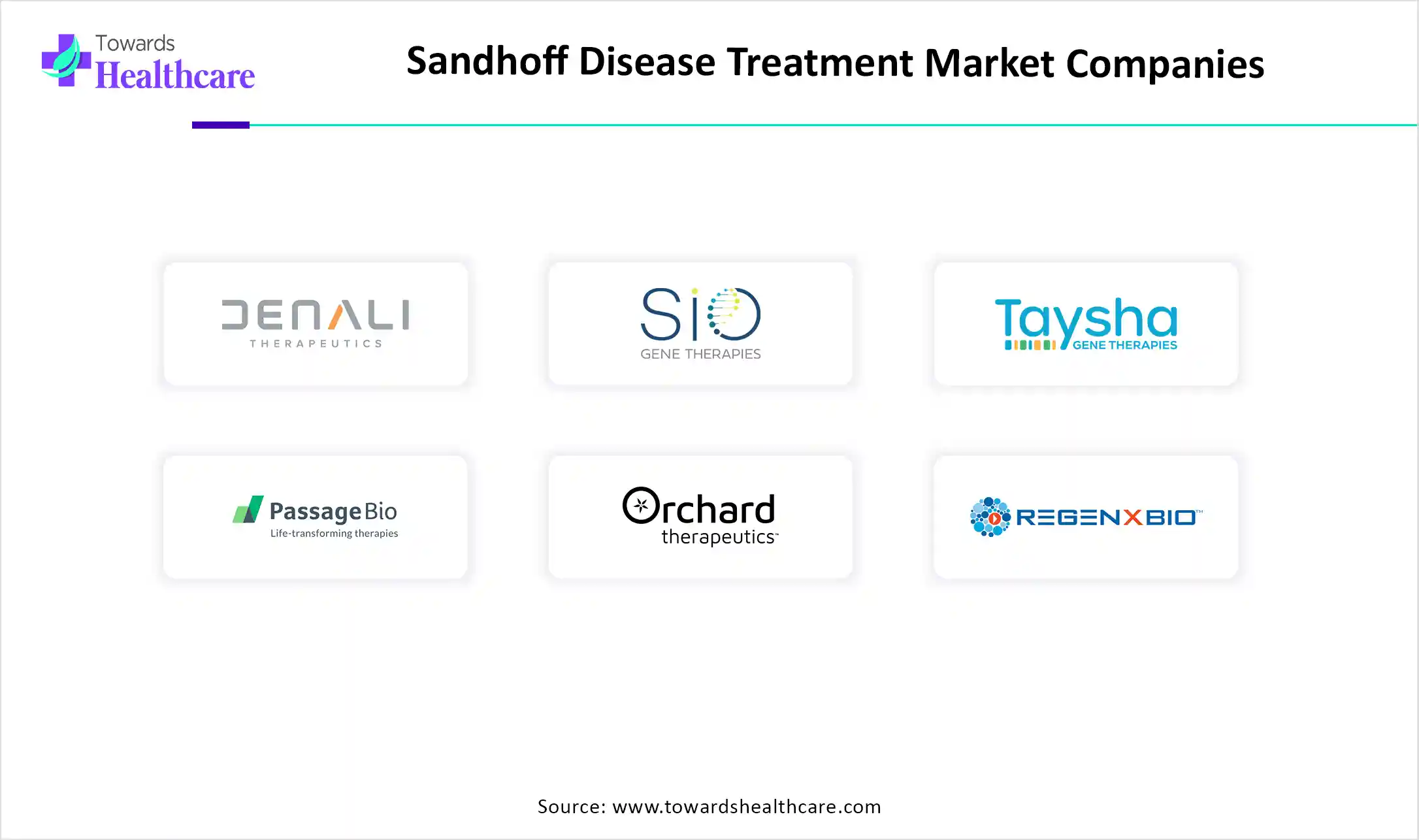 Sandhoff Disease Treatment Market Companies