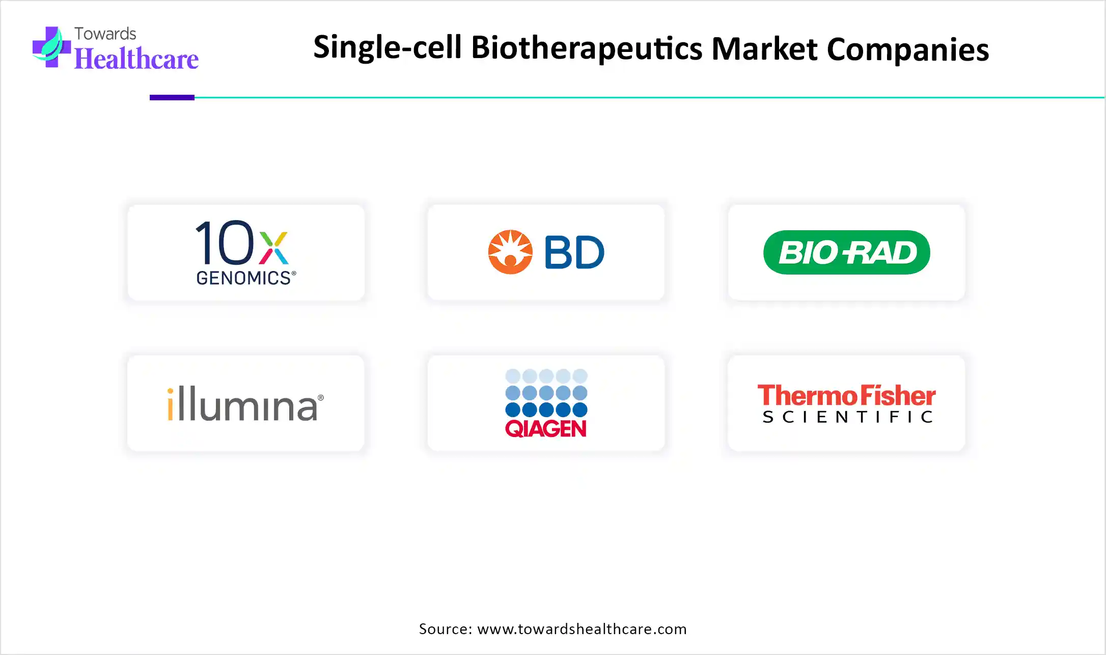Single-cell Biotherapeutics Market Companies 