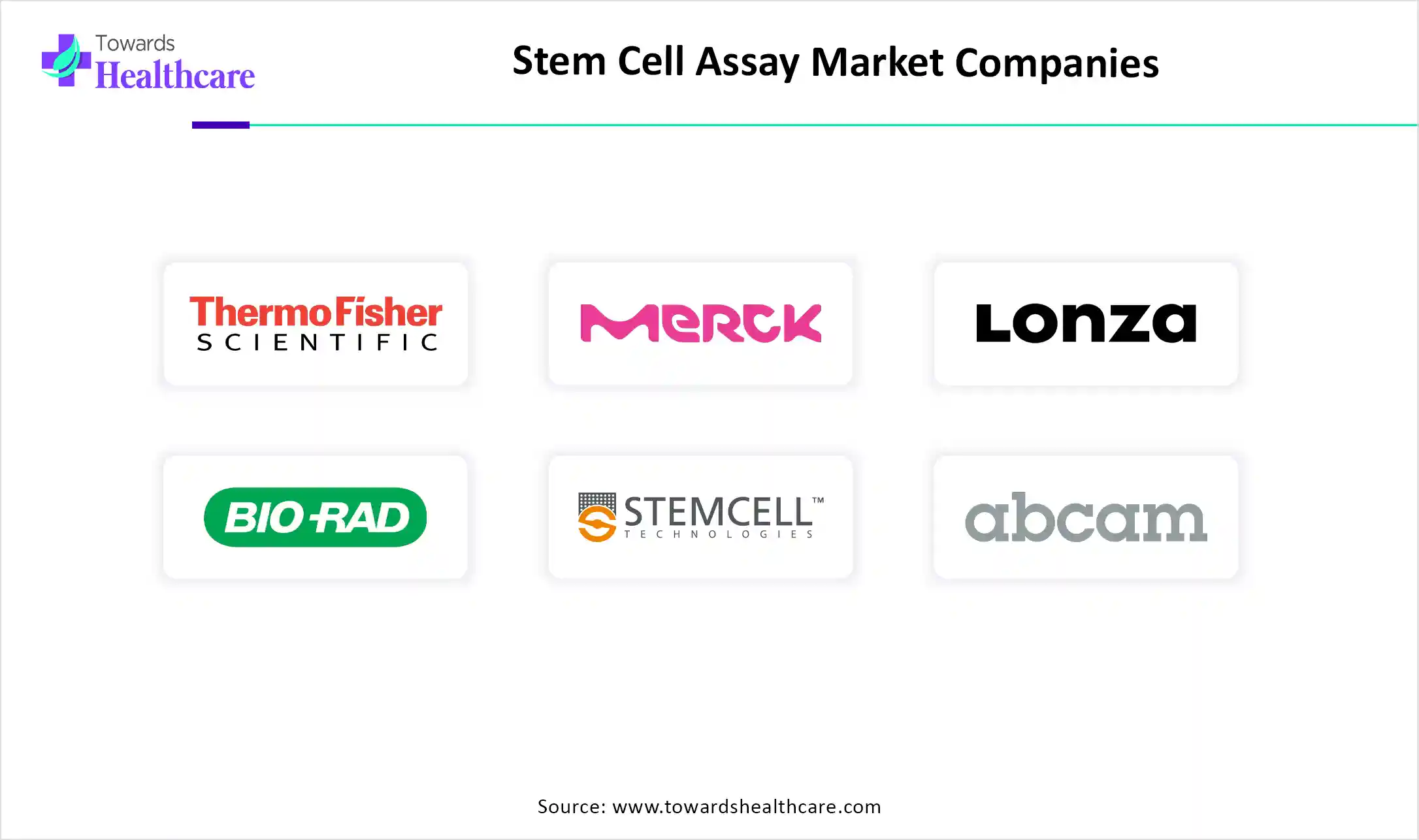 Stem Cell Assay Market Companies