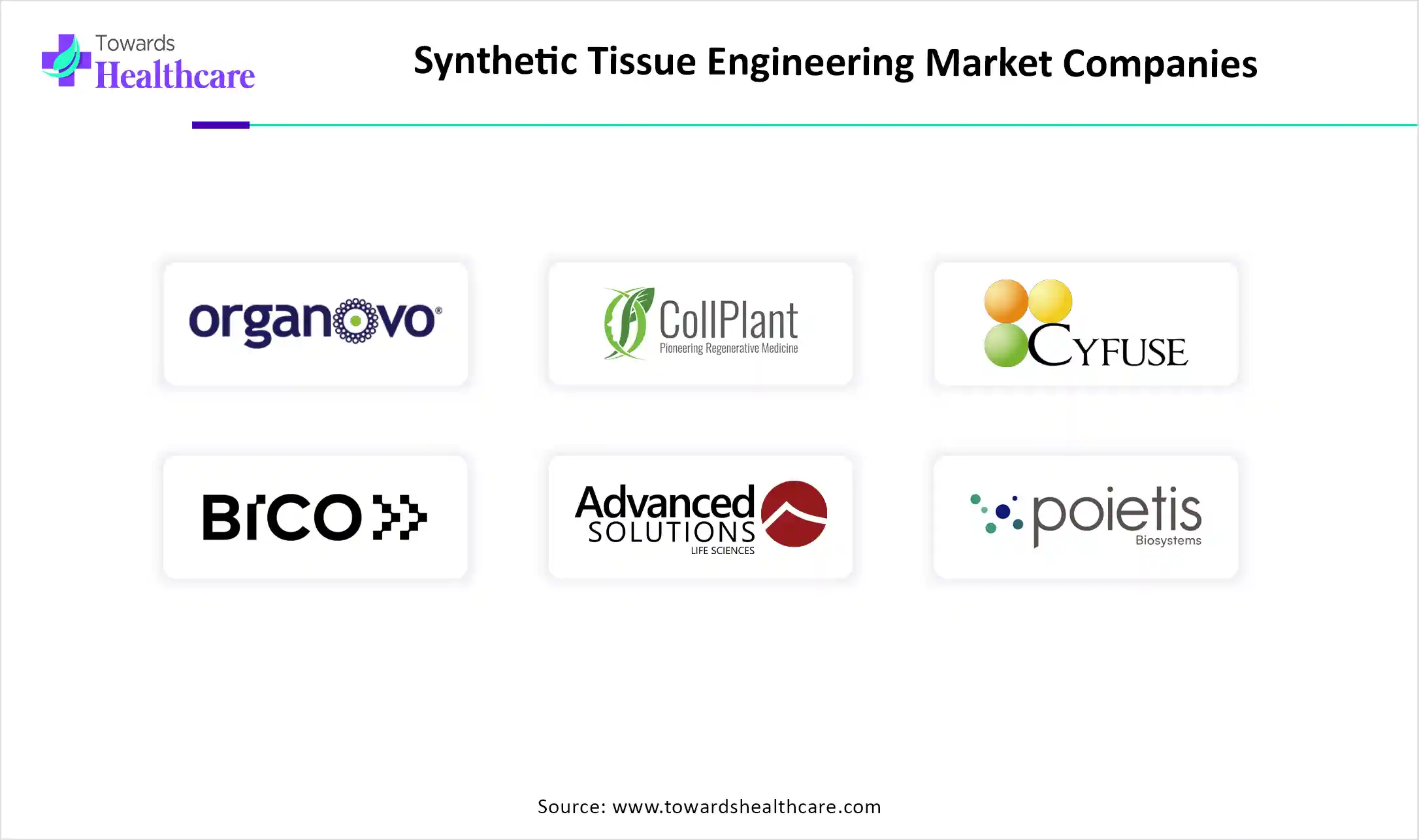 Synthetic Tissue Engineering Market Companies