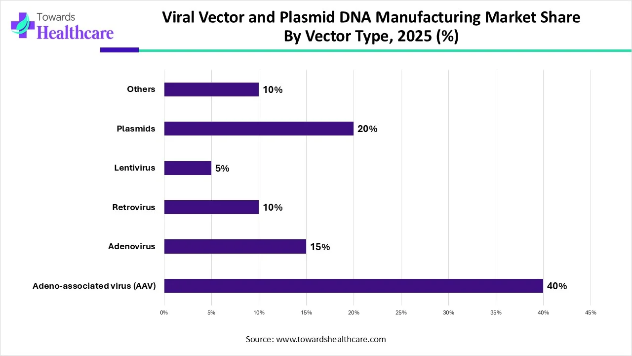 Viral Vector and Plasmid DNA Manufacturing Market Share By Vector Type, 2025 (%)