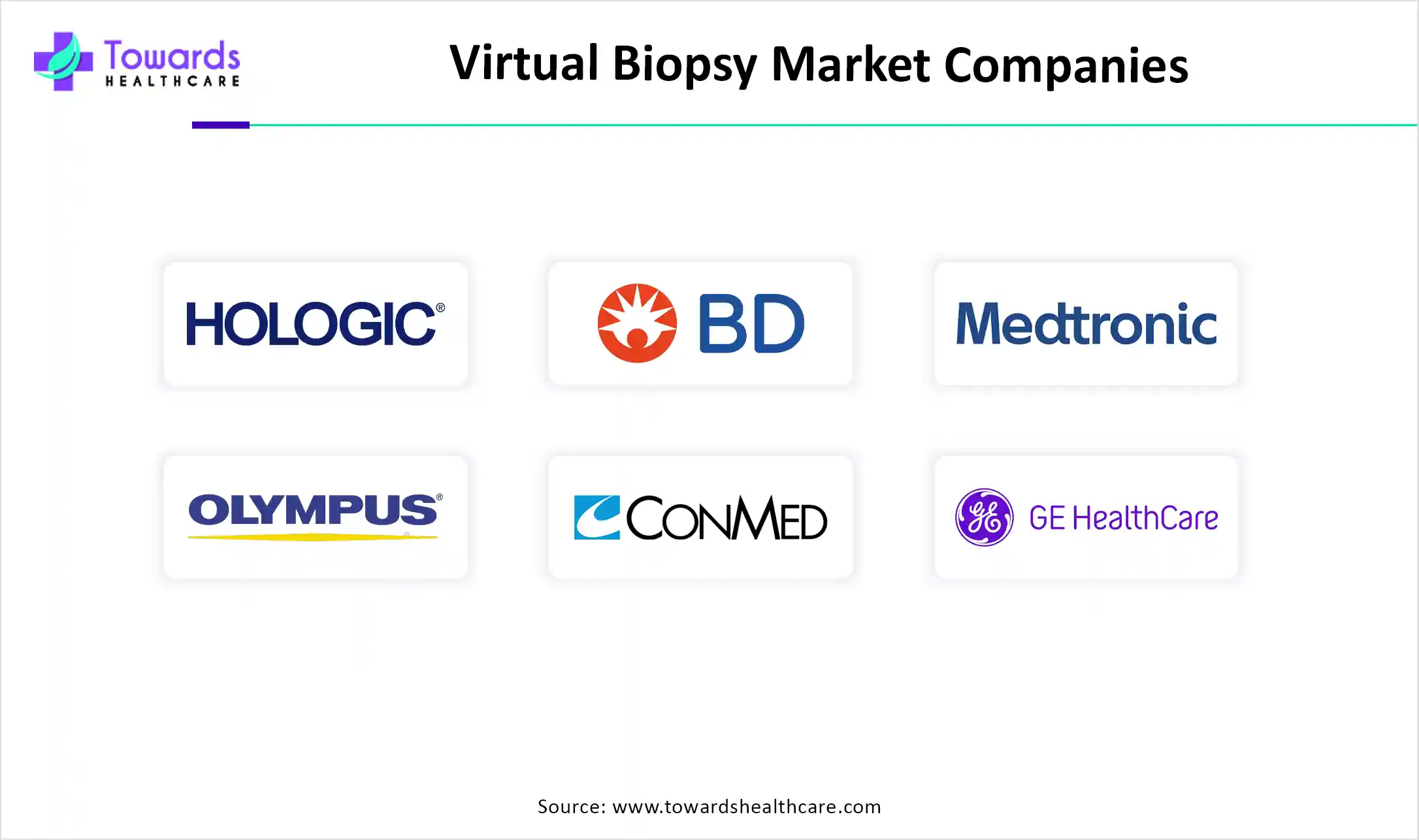 Virtual Biopsy Market Companies