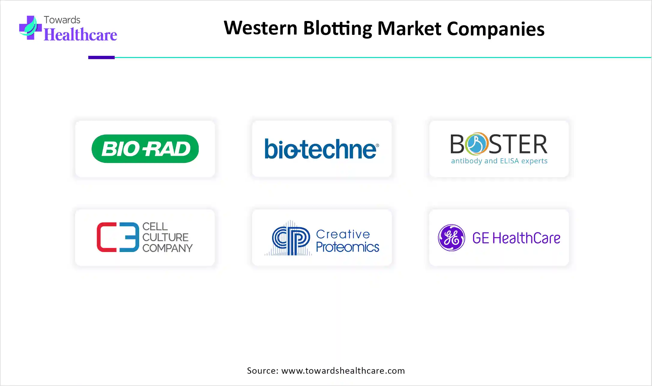 Western Blotting Market Companies